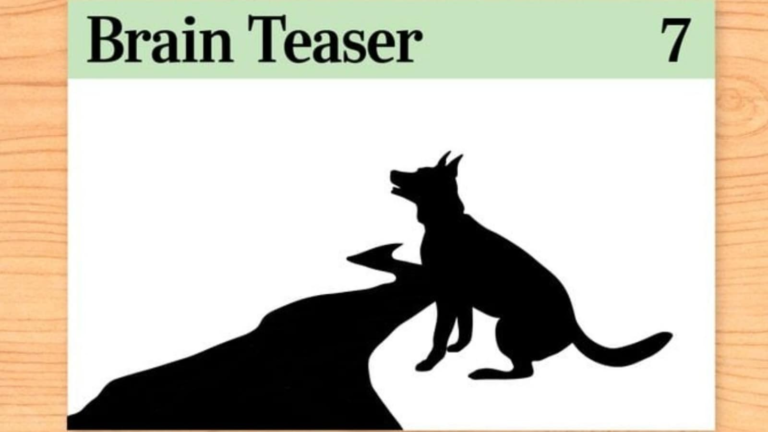 This brain freezes your mind: no boat, no bridge, no wet paws … How did the dog cross the river? | Tech Word News