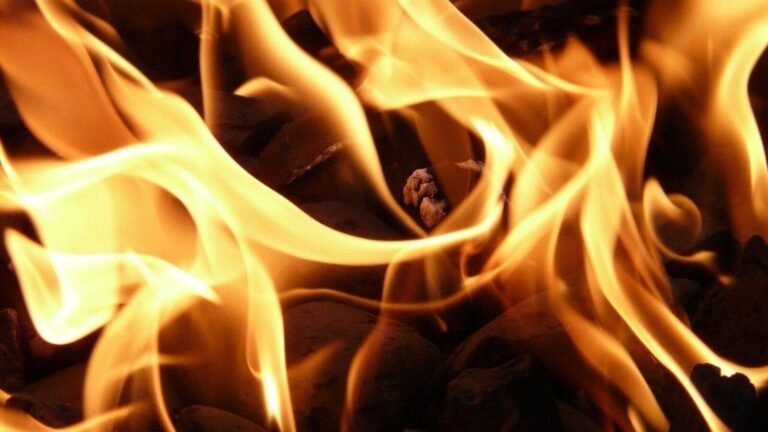 Delhi News: The fire explodes in the sauna room Radisson Blu Hotel V Dwarka | Tech Word News