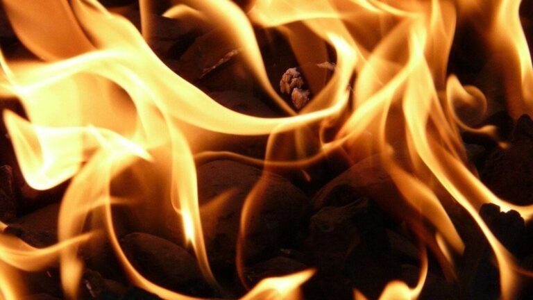 Gujarat: Tanker explodes in an asphalt plant near Vadodary, 3 people killed | Tech Word News