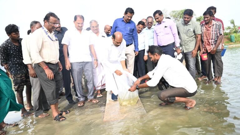 The rain revives fish breeding in a irrigation tank near Tiruvannamei