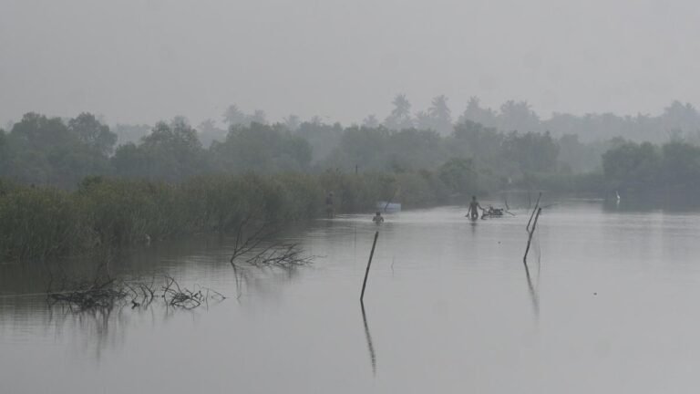 Post Anand Mahindra praises Kadamacuda serves as a shot in the arm for the rustic village of Kerala