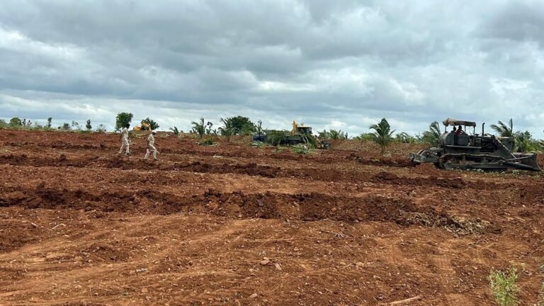 The forest department cleans 300 acres of intervention in the Tumacur district