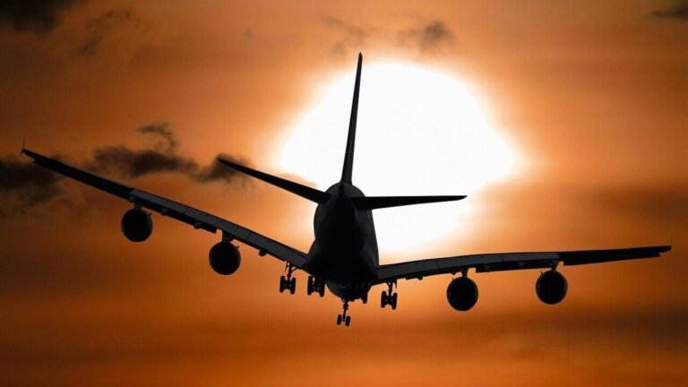 Shocker Milan Airport! One gets into the aircraft engine, dies; Flights suspended Tech Word News