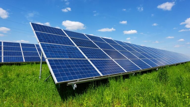 India may deliver 70% of continuously pure electricity by 2030 by 2030 by 2030