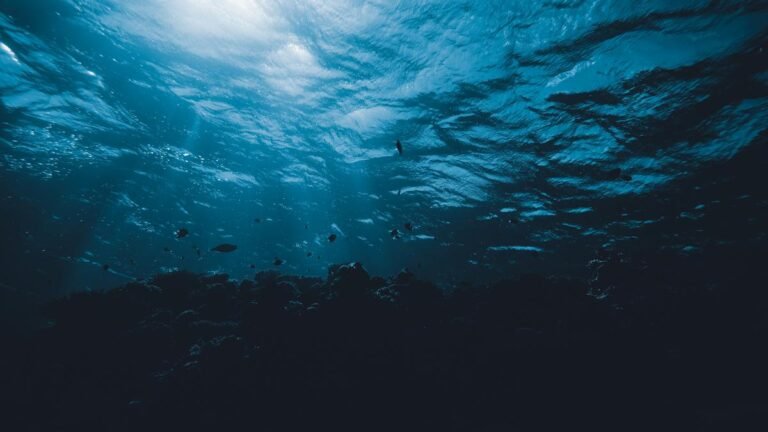 India, Australia to launch a joint research project on underwater supervision