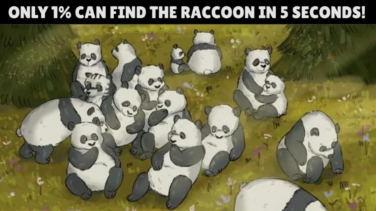Viral brain teaser: Can you find a hidden raccoon in a picture full of pandas? | Tech Word News