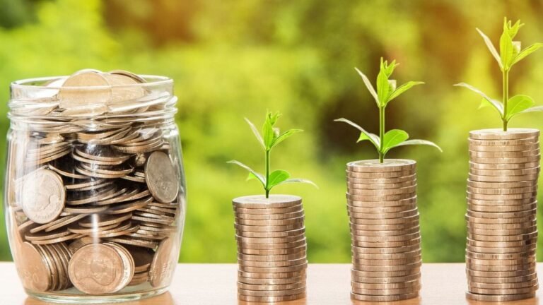 India’s plans coordinated individual direct foreign investments, eyes investors in key sectors