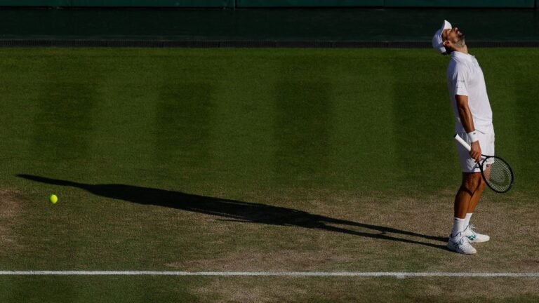 Wimbledon: Once time resistant, novak djokovic finally looked fatal