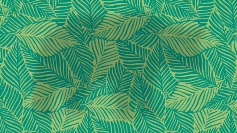 Optical illusion: Do you think your eyes are sharp? Find the bear in 8 seconds or less Tech Word News
