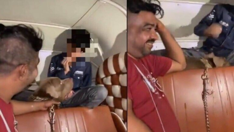 Mumbaj Shocker! Pit Bull bites the baby inside the auto-ricker when you laugh, the sparkle of anger between the non-insight | Tech Word News