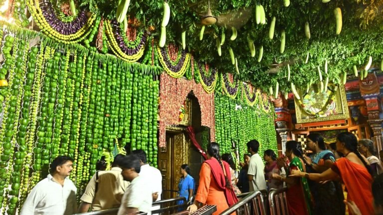 Kanaka Durg’s temple is glowing green when the Sakambari festival gets into a color start