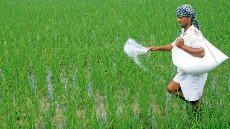 Farm exporters are on new markets because the US selects high duties for Indian goods