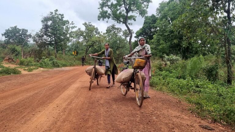 Naxals are retreating. What now?