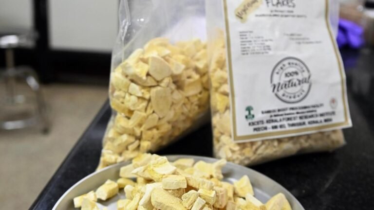 Bamboo on a plate: Kfri brings a nutritious forest treasure to everyday diet
