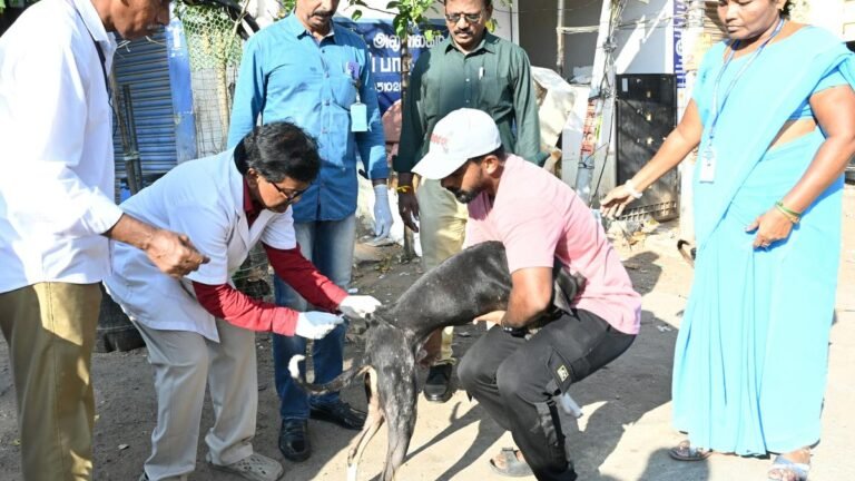 Increasing the death of rabies in two years: Center: