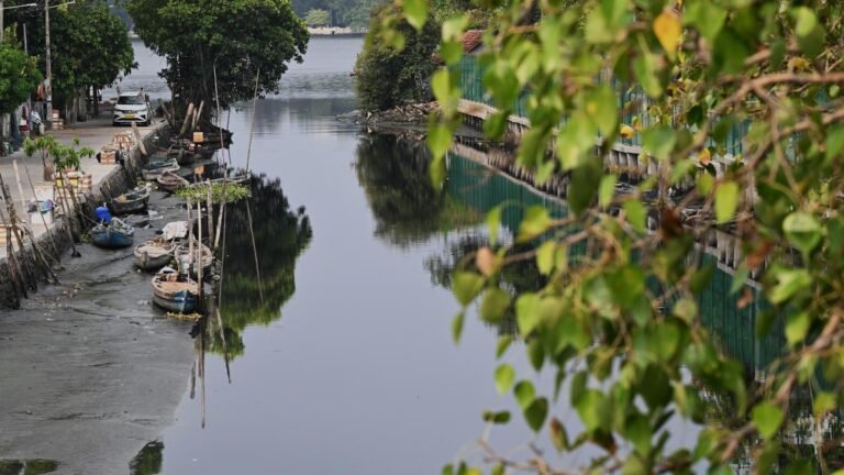 MLA is looking for time to set up STP in housing complexes