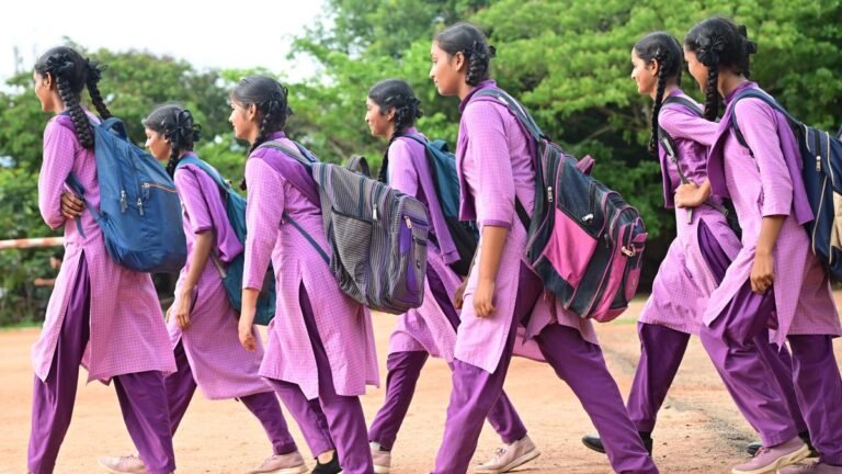 The AP government gives curbs to enter the school space