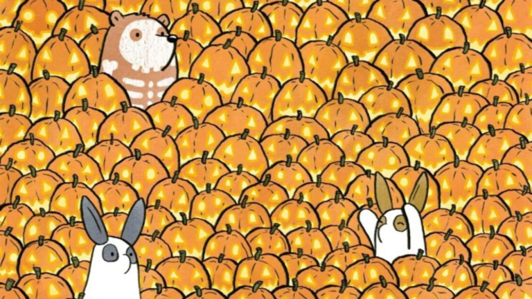 Optical illusion of stumps Internet: Can you find 3 careless pumpkins in just 9 seconds? | Tech Word News