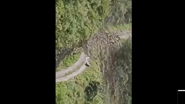 A terrifying moment captured on the camera: JCB rolls to Deep Gorge in Shimla – watch a viral video | Tech Word News