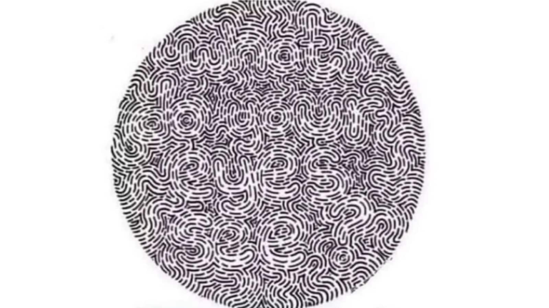 Optical illusion: Only those with a 10/10 vision can read this hidden sentence in 22 seconds | Tech Word News