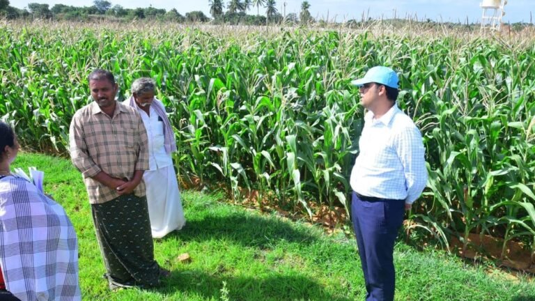 Push the nano urea to fight repeating droughts in the district of Satya Sai