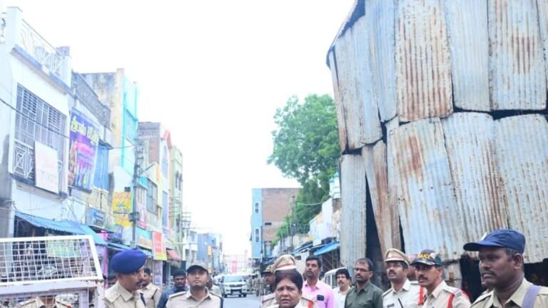SP checks the arrangement to immerse the Ganesh idol in Kadiri