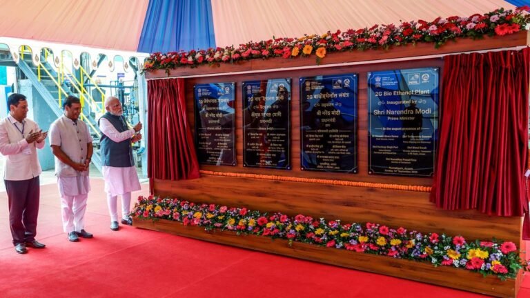The largest in the world bamboo Ethanol based on bamboo gets a selection of grass in the northeast