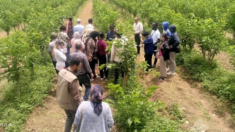 Foreign participants attend Maddur, silk clusters of Malavalli; Meet the silk farmers