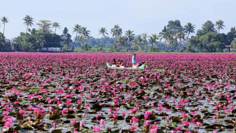 Malarikkal plans to draw more visitors with added attractions, extended timing