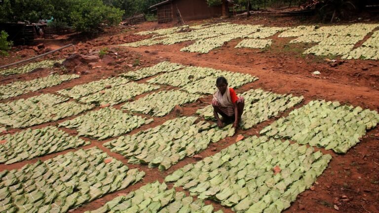 BJD requires a full exception to GST on kenda leaves, hand sector