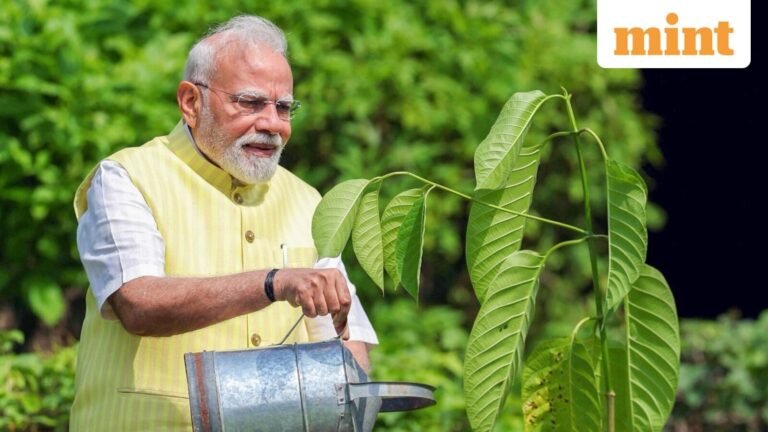 PM modi in gujarat today. What is the agenda in its home state? | Tech Word News