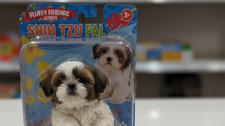 I changed my pet into Nano Banana 3D: step by step guide with professional challenges for your dog and cat | Tech Word News