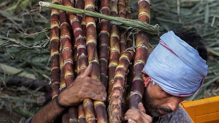 The Supreme Court rejects the action against 20% gasoline with ethanol, the centers say the benefits of the E20 Fex creators of sugar cane | Tech Word News