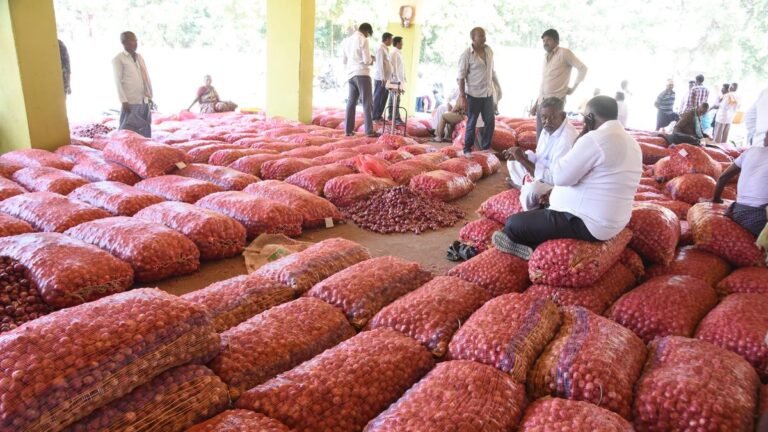 Onion assignment ap govt. be stopped from September 22 because compensation announced for farmers