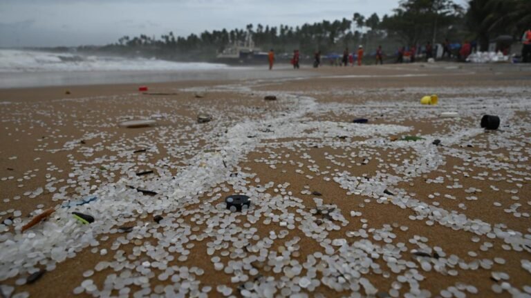 The case of shipwrecking will probably be a long -drawn battle, although MSC has taken to pay safety 1,227.62 crore