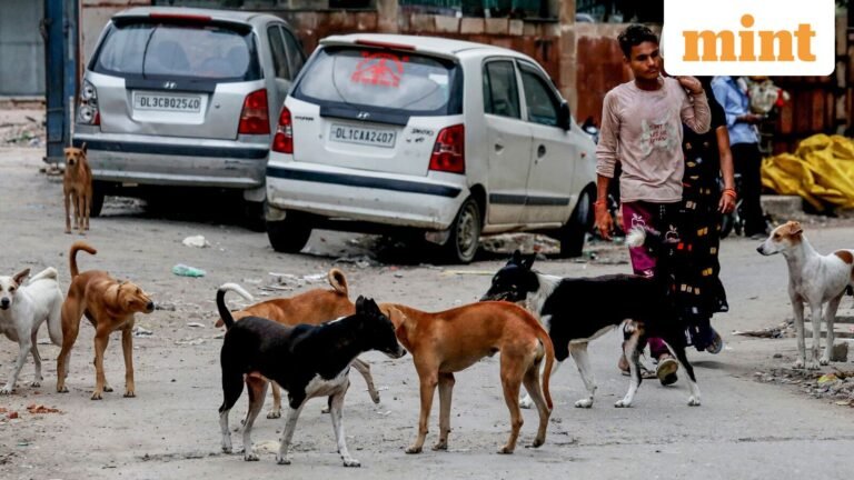 Delhi: Govt Issues Street Dog Control instructions – Mandatory AWBI training, maintaining vaccination record and more Tech Word News