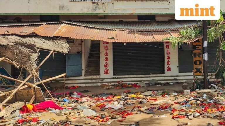 Tragic death! Two -year -old among 40 killed in Stampede at Karur Rally, Aunt says he can’t blame Vijay of the incident | Tech Word News