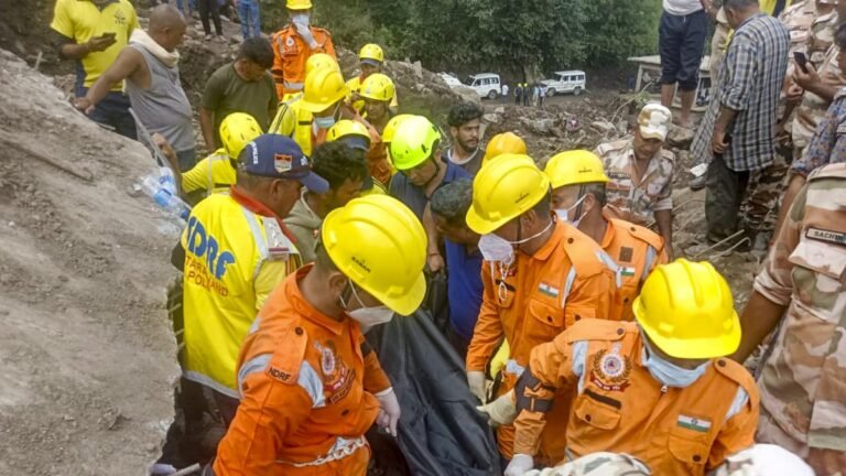 The government sets the tasks of ministries during the calamities