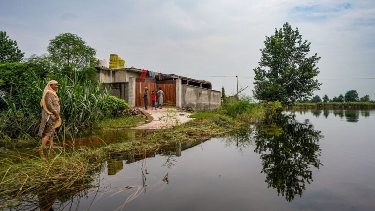 School holiday: Amritsar Schools to remain closed on 8 September in the middle of the flood in the pandjab: “Re -opening was allowed only after…”. | Tech Word News