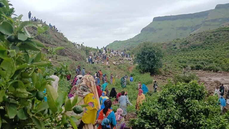 Sudan land landslide: more than 1,000 killed as landslide erases the village in Darfur, the armed group requires global help | Tech Word News