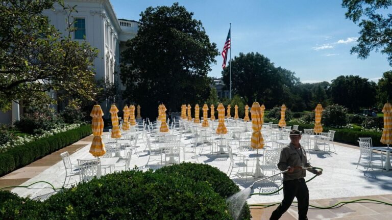 “Who did it?” – Trump rages against the supplier of limestone damage in the White House Rose Garden | Tech Word News