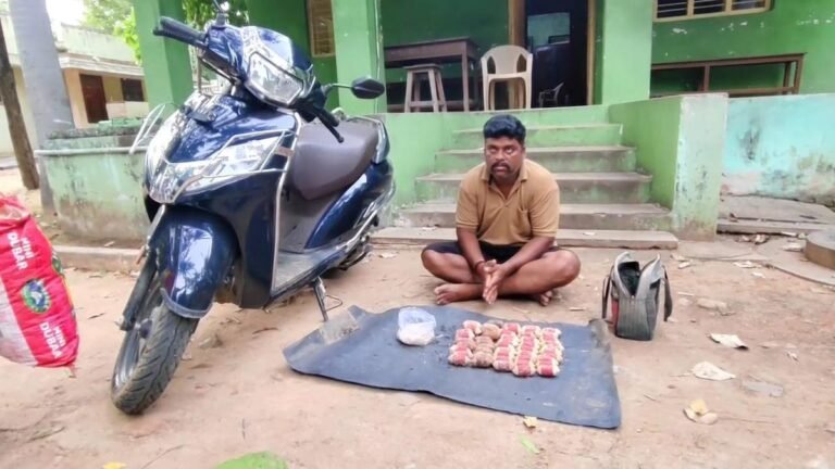 Tribal Man held for holding explosives made in the ground in ranipette