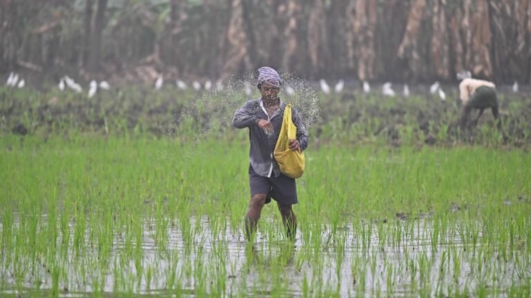 Farmers Andhra Pradesh are struggling with 40% urea deficiency during the kharif season