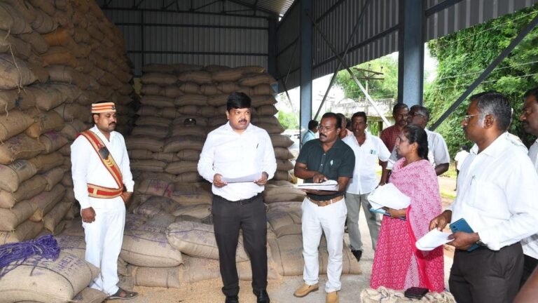 Paddy purchases touch record levels amid Delta crop