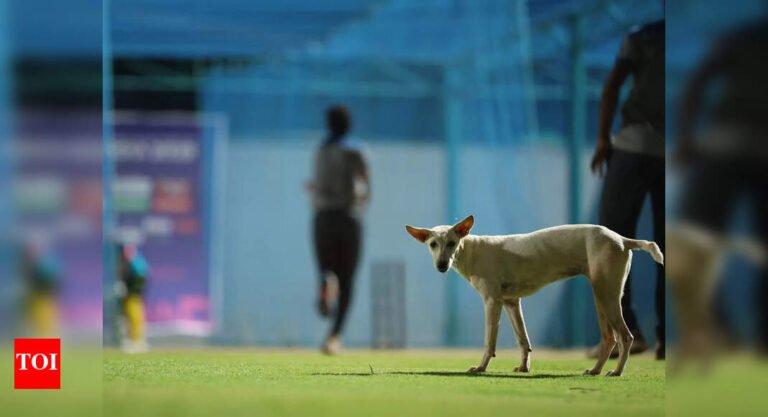 Foreign coach bitten Stray Dog at World Para athletics Off the Field News – The Tech Word News