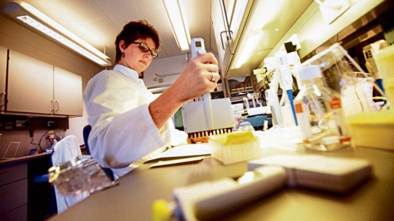 The best drug regulator seeks to repair the anomaly of approval for the first innovator