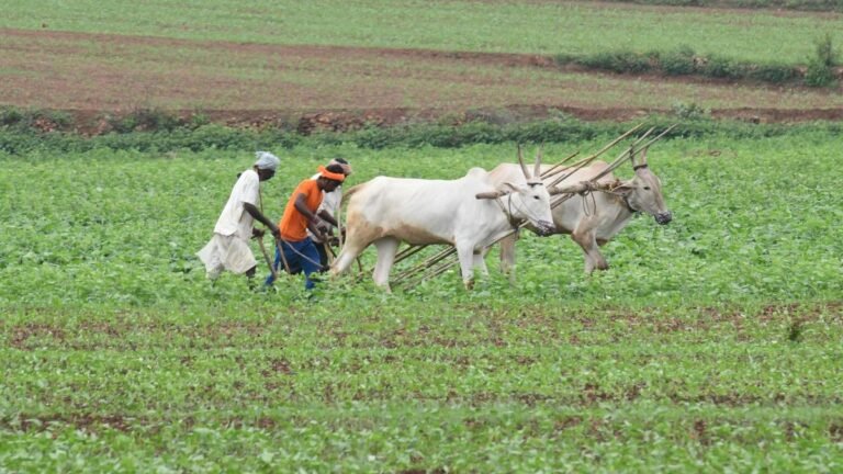 Maharashtra, Karnataka reports most of the number of suicide of farmers