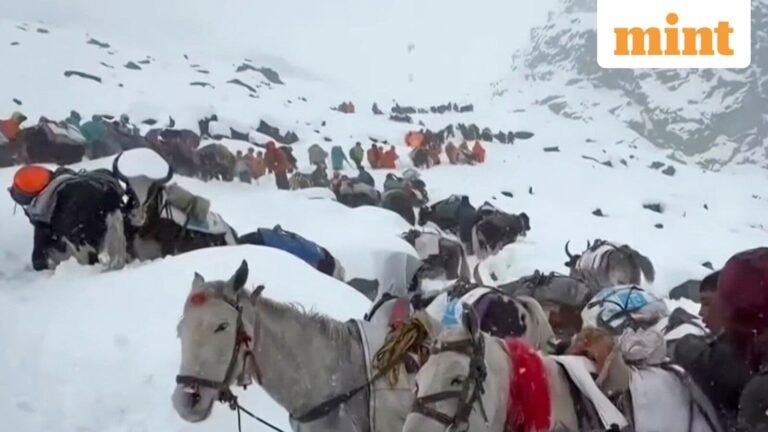 Everest tourists stuck in “Deep Snow”, finally evacuated from the Tibetan valley | Tech Word News