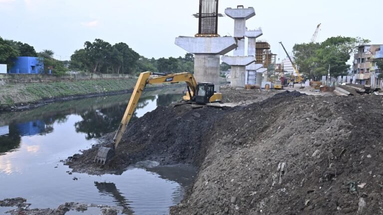 Removing temporary buds from the Cooum River is close to completing
