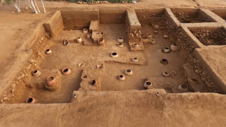 Pre -finding from the excavations of Thirumalapuram confirms the culture of the Iron Age similar to Adichanallur